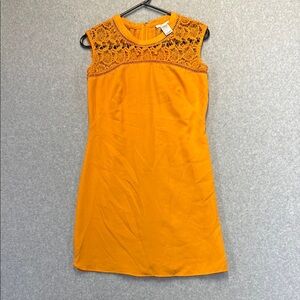 Esley Orange Sheath Dress with Cutout Crew Neck